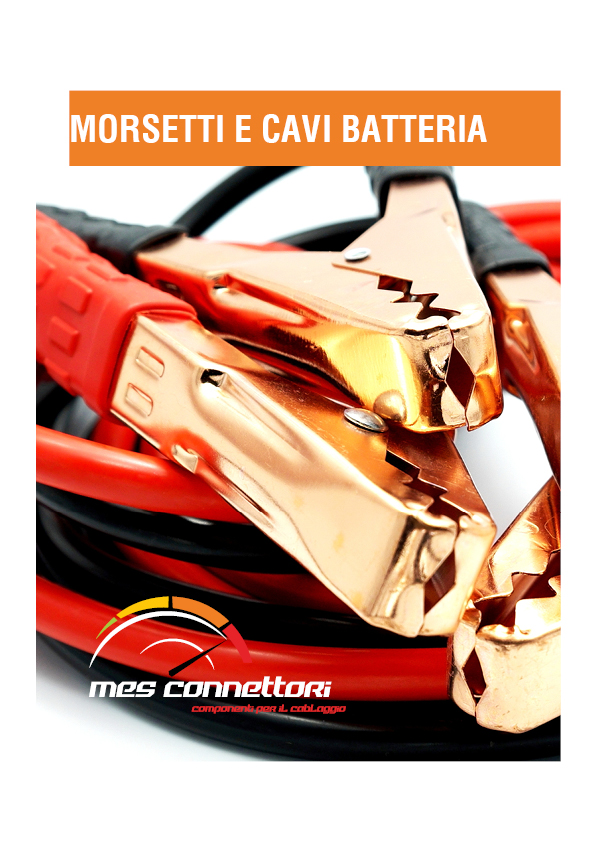 Morsetti e cavi batteria