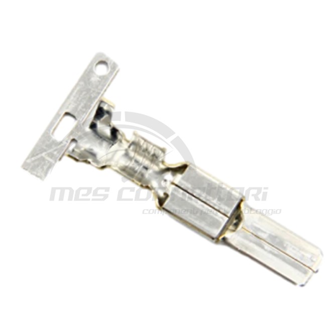 Terminale 4.8 (187) maschio sez.3